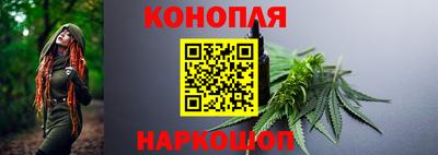 дмт Нальчик