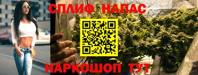 дмт Нальчик