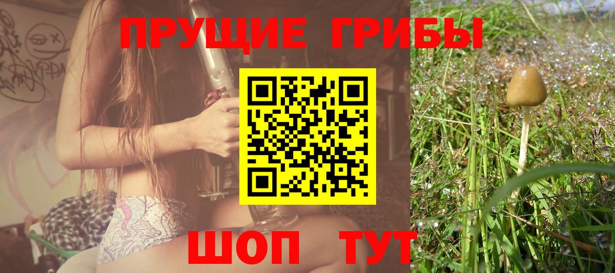 Псилоцибиновые грибы ЛСД  Вход с VPN  Вязники 